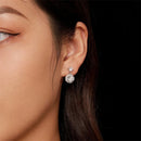 Brincos Pendentes em Prata e Moissanite
